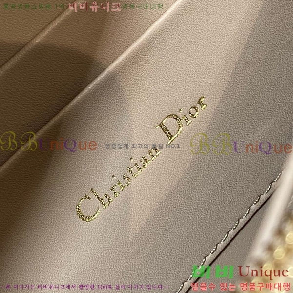 # ̽ ī ̴Ϲ S5169-101