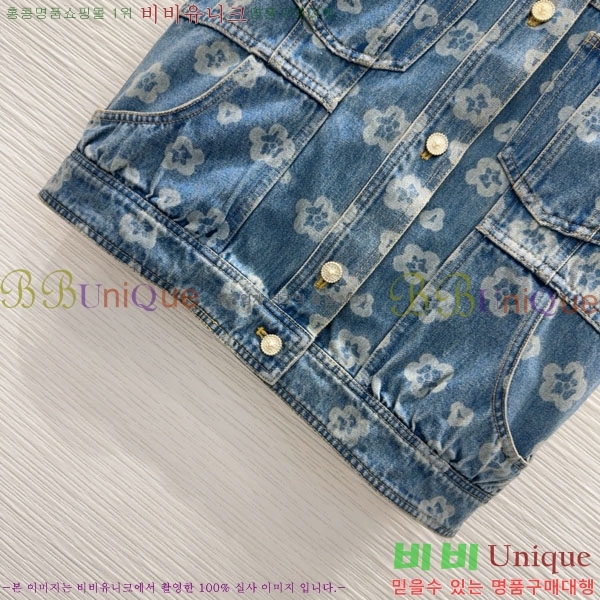  *  CHA34066-13