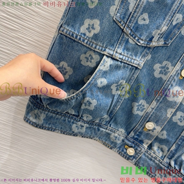  *  CHA34066-13