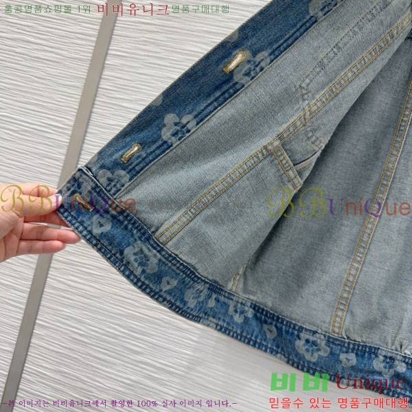  *  CHA34066-13