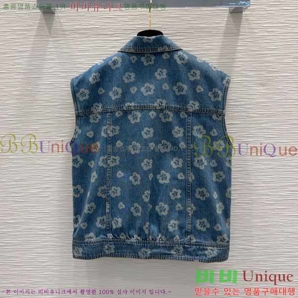  *  CHA34066-13