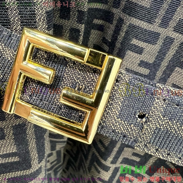    FE1203408-1