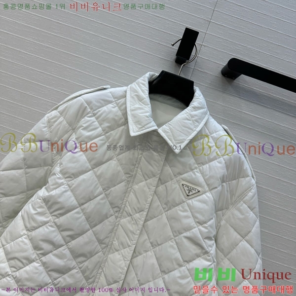   е  PA123044-10