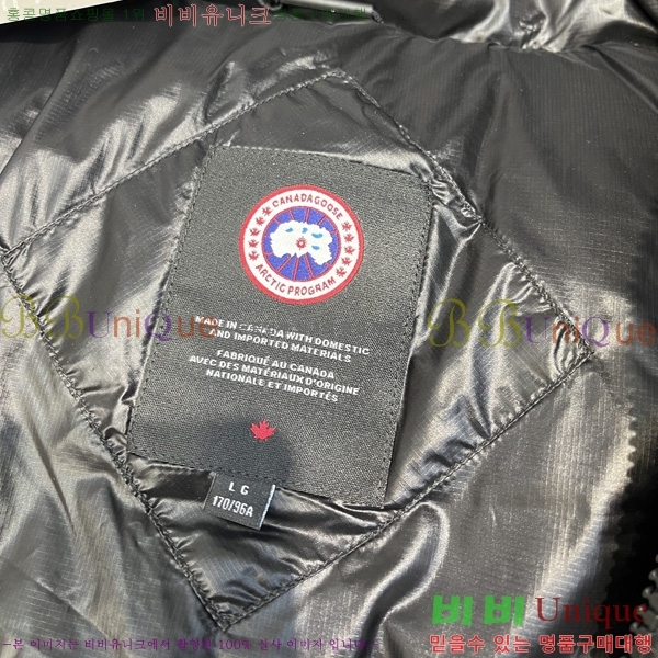  ĳٱ ٿ е   CAG53069-3